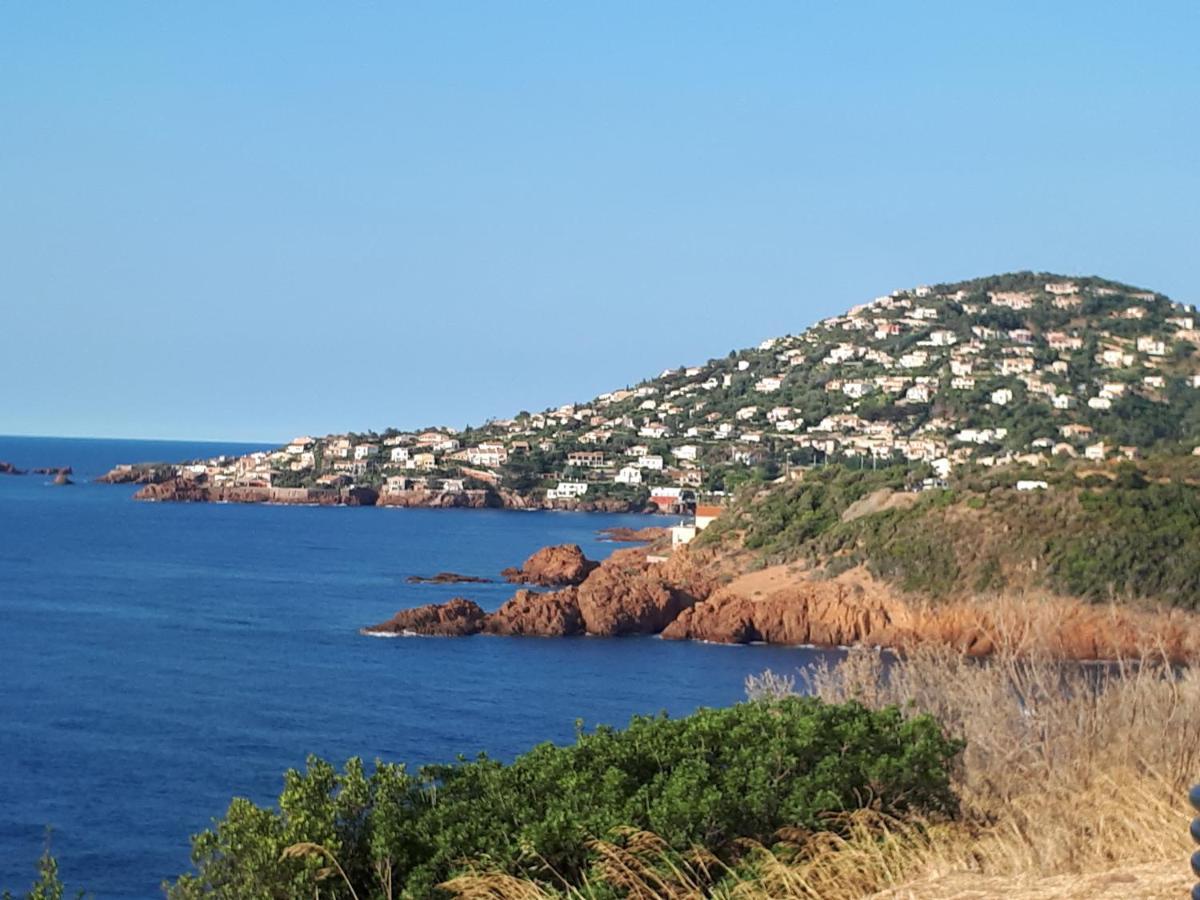 Frejus Plage T2, Piscine, Parking, Plages A 200M Exteriör bild